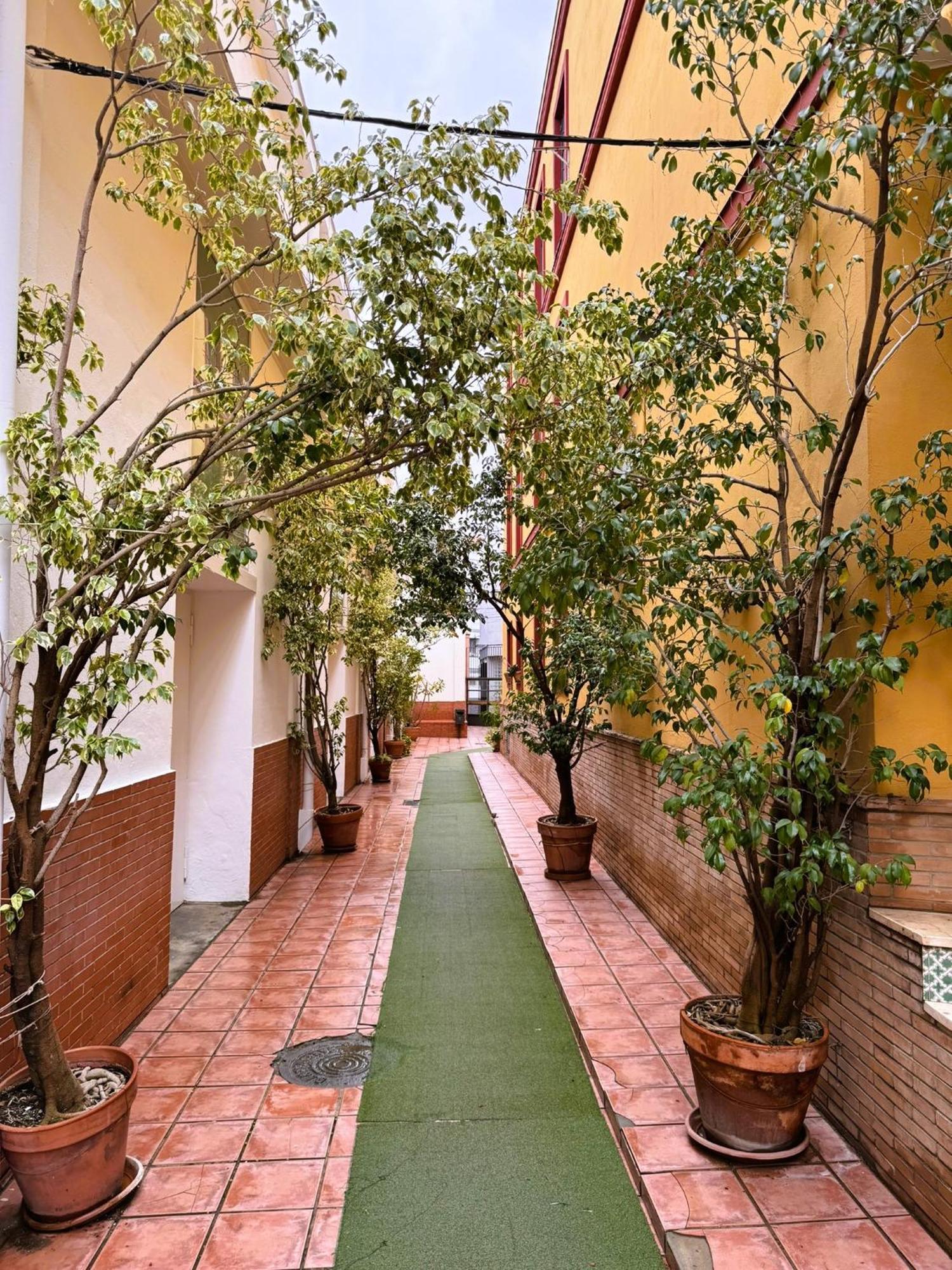 Duplex - Terraza Solarium - Alameda De Hercules * Siviglia